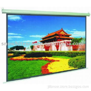 Electric Screen